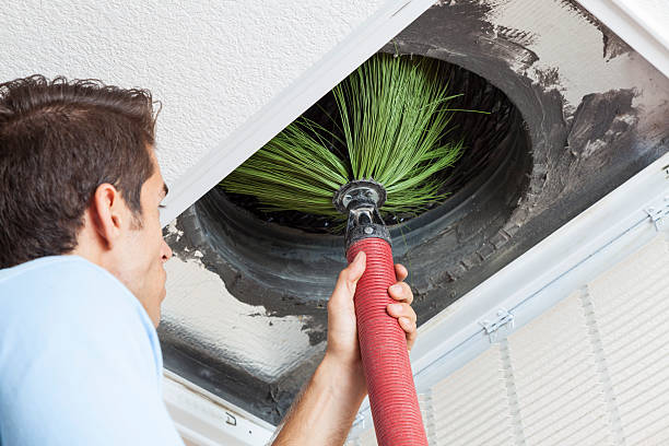 Best Air Duct Sanitizing Services  in Mcdonough, GA
